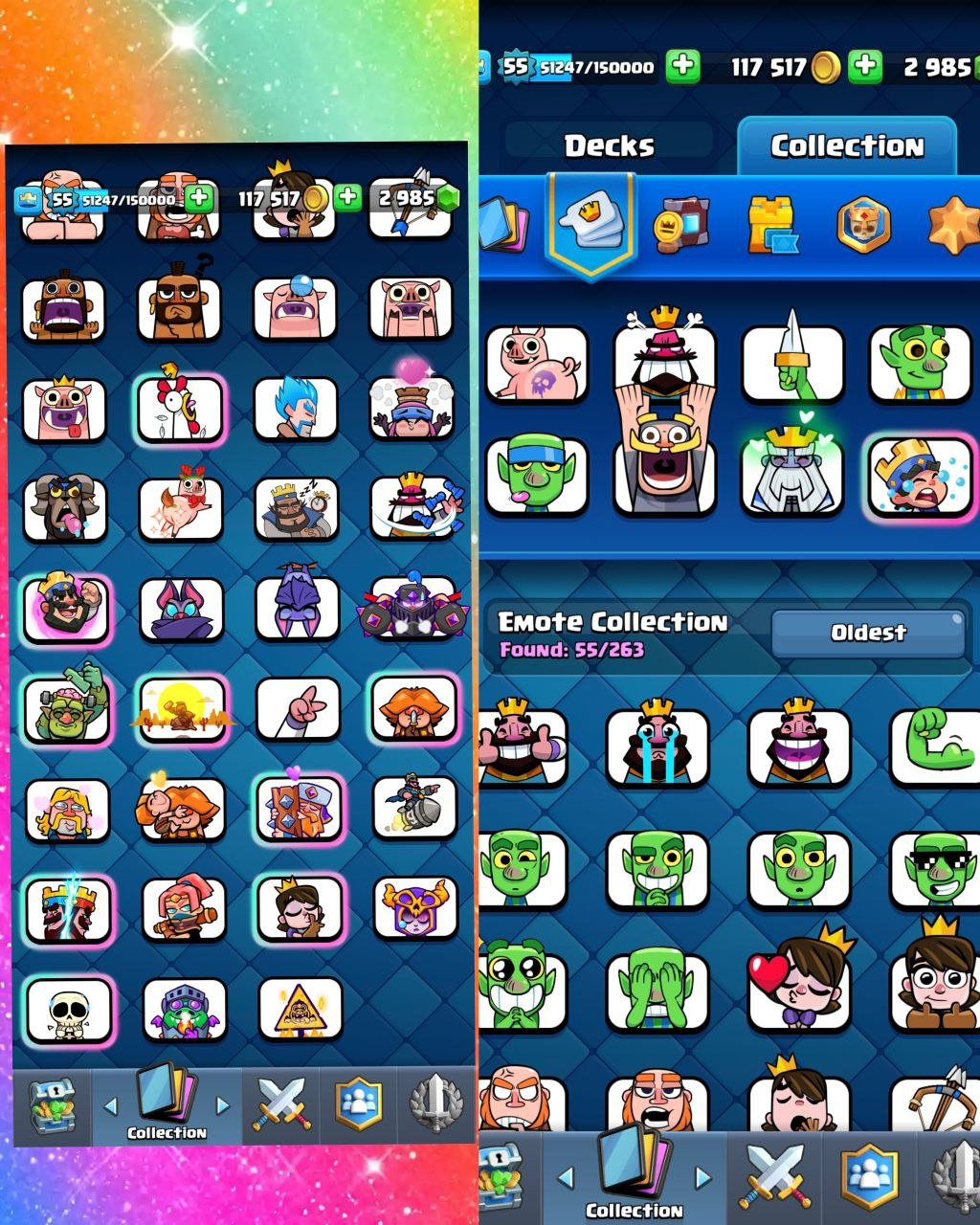 King royal - تصویر 9