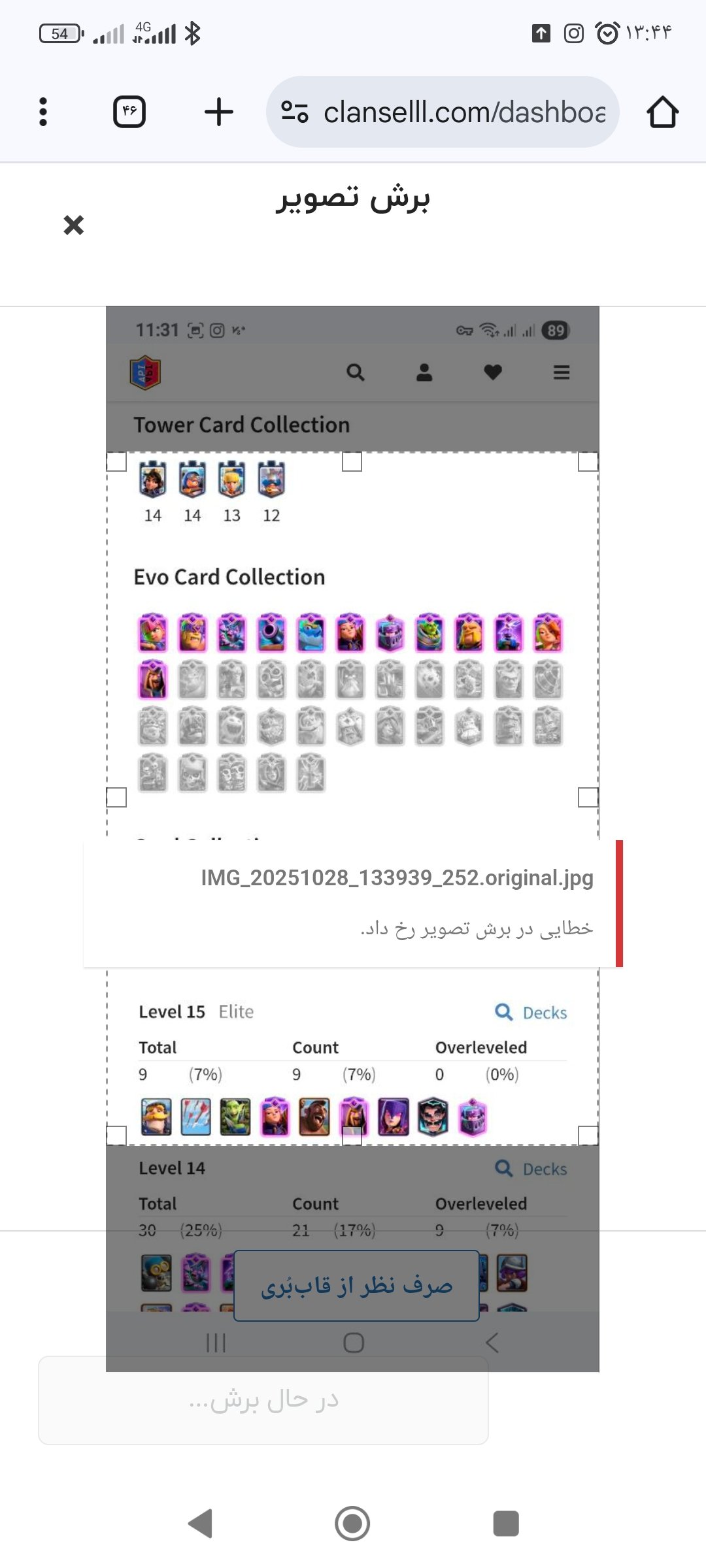 King royal - تصویر 5