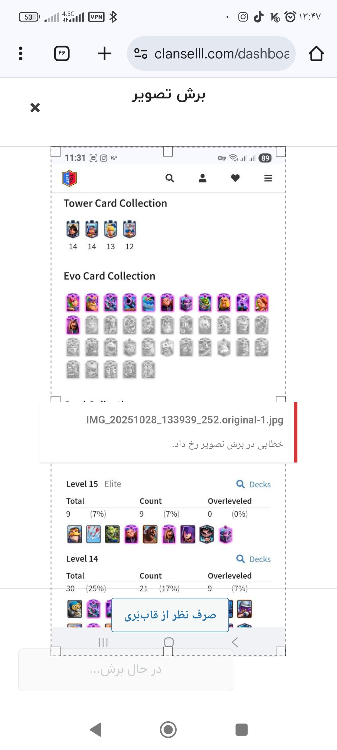 King royal - تصویر 6